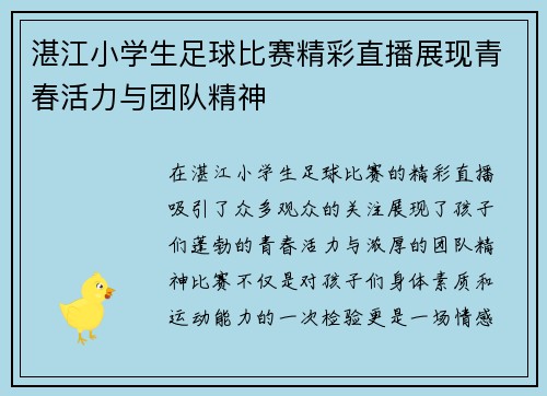 湛江小学生足球比赛精彩直播展现青春活力与团队精神